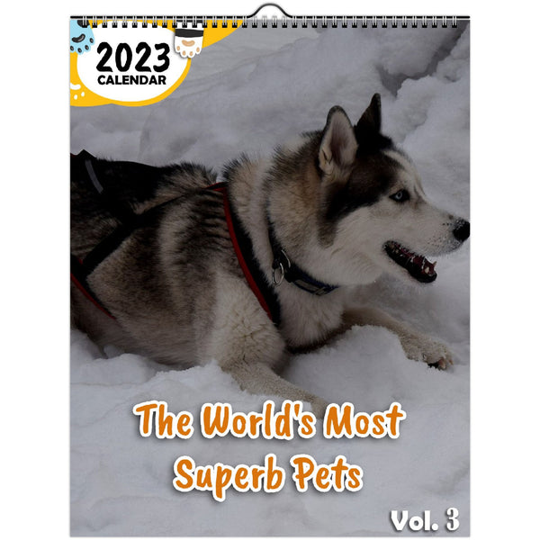 The World's Most Superb Pets Volume Three: 2023 Wall Calendar