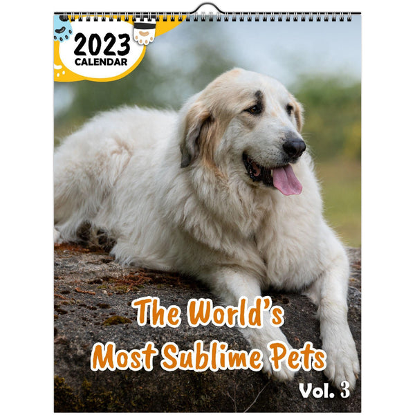 The World's Most Sublime Pets Volume Three: 2023 Wall Calendar