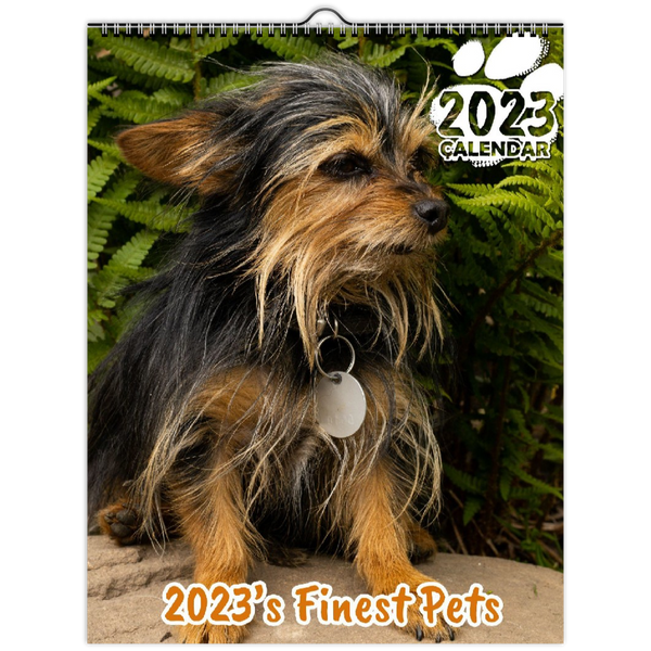 2023's Finest Pets: 2023 Wall Calendar