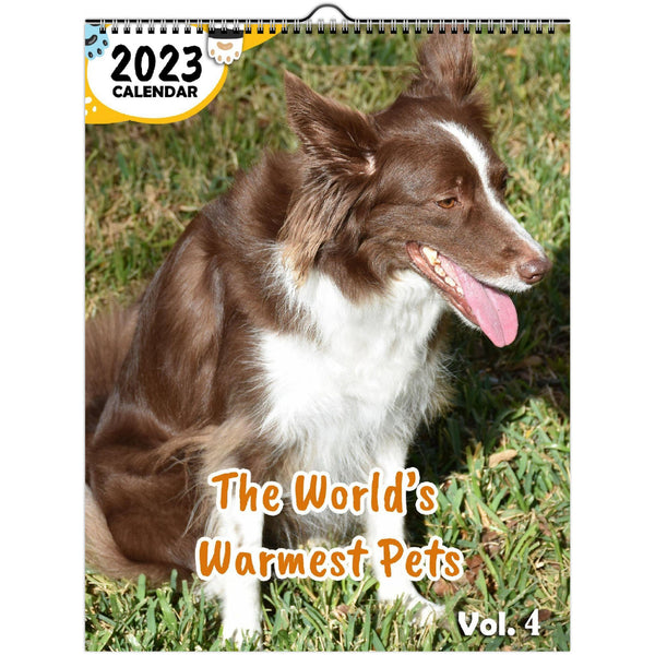The World's Warmest Pets Volume Four: 2023 Wall Calendar