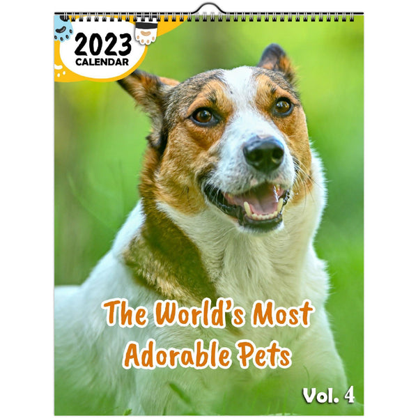 The World's Most Adorable Pets Volume Four: 2023 Wall Calendar