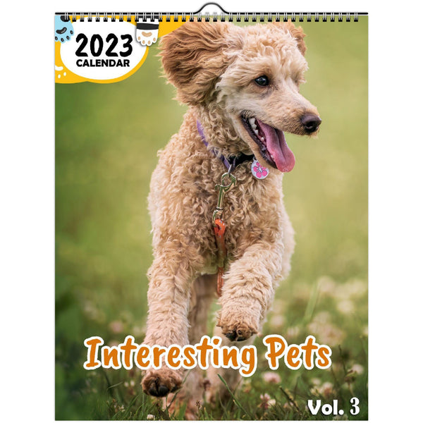 Interesting Pets Volume Three: 2023 Wall Calendar