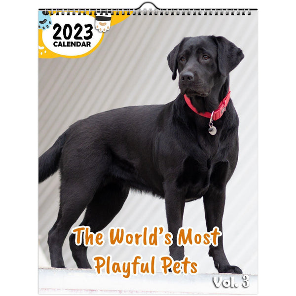 The World's Most Playful Pets Volume Three: 2023 Wall Calendar