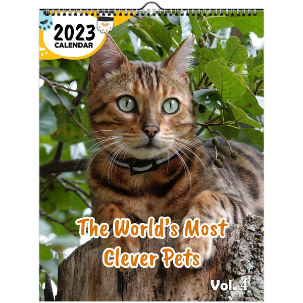 The World's Most Clever Pets Volume Four: 2023 Wall Calendar