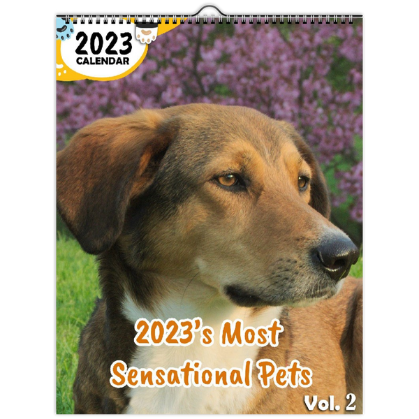 2023's Most Sensational Pets Volume Two: 2023 Wall Calendar