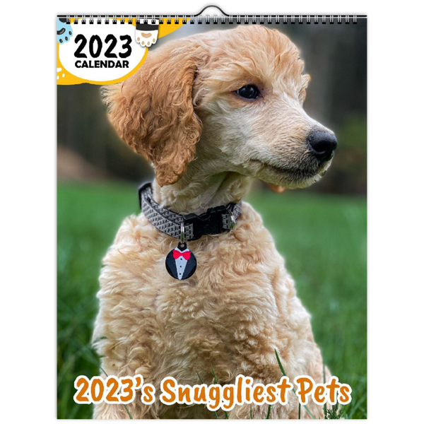 2023's Snuggliest Pets: 2023 Wall Calendar