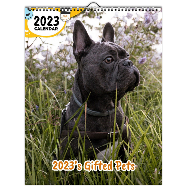2023's Gifted Pets: 2023 Wall Calendar