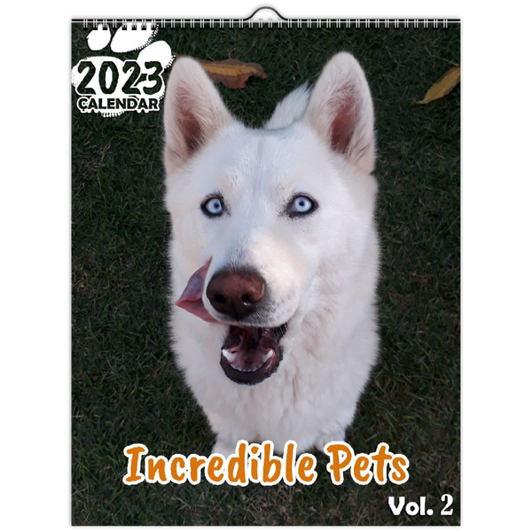 Incredible Pets Volume Two: 2023 Wall Calendar
