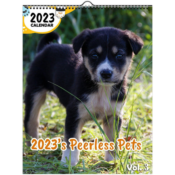 2023's Peerless Pets Volume Three: 2023 Wall Calendar