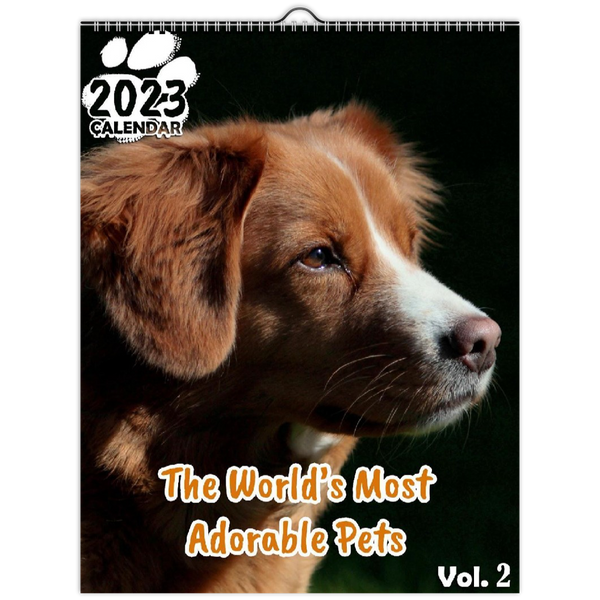 The World's Most Adorable Pets Volume Two: 2023 Wall Calendar