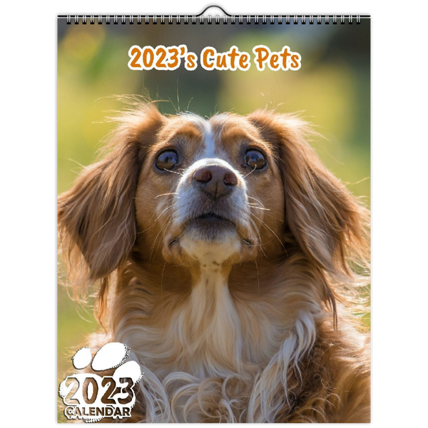 2023's Cute Pets: 2023 Wall Calendar