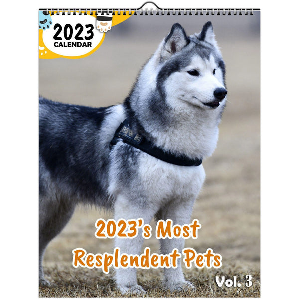 2023's Most Resplendent Pets Volume Three: 2023 Wall Calendar