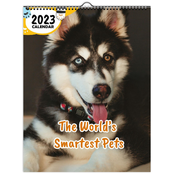 The World's Smartest Pets: 2023 Wall Calendar