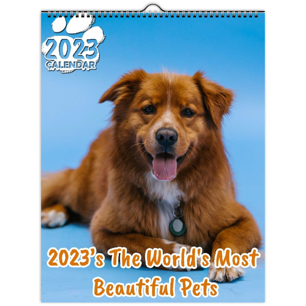 2023's The World's Most Beautiful Pets: 2023 Wall Calendar