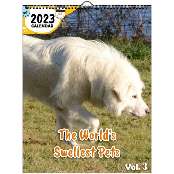 The World's Swellest Pets Volume Three: 2023 Wall Calendar