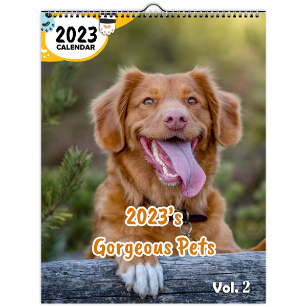 2023's Gorgeous Pets Volume Two: 2023 Wall Calendar