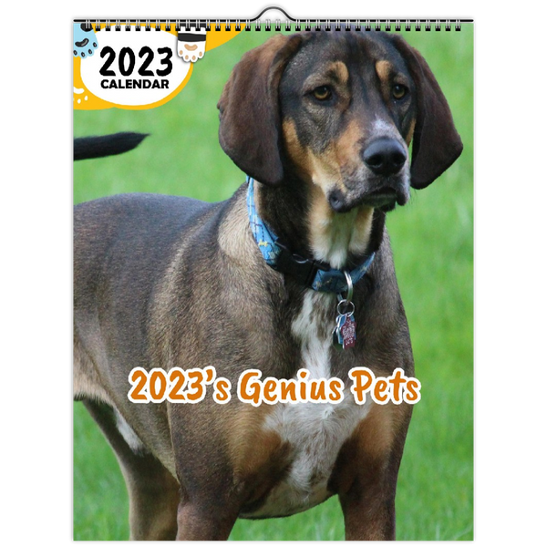 2023's Genius Pets: 2023 Wall Calendar