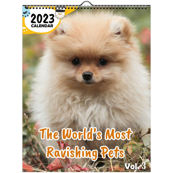 The World's Most Ravishing Pets Volume Three: 2023 Wall Calendar