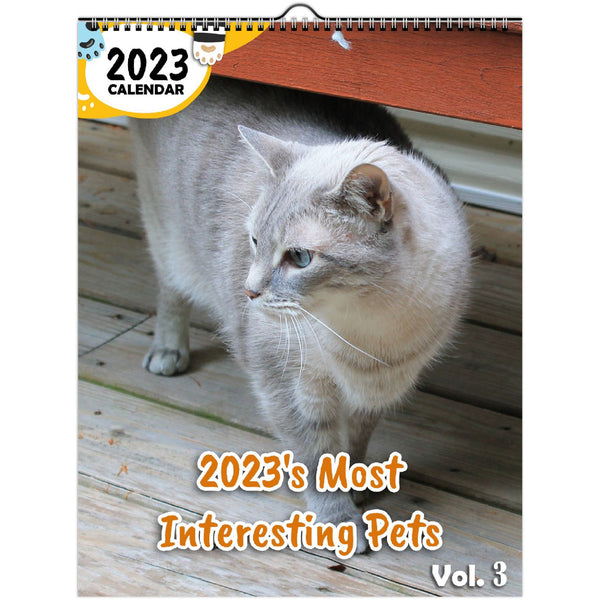 2023's Most Interesting Pets Volume Three: 2023 Wall Calendar