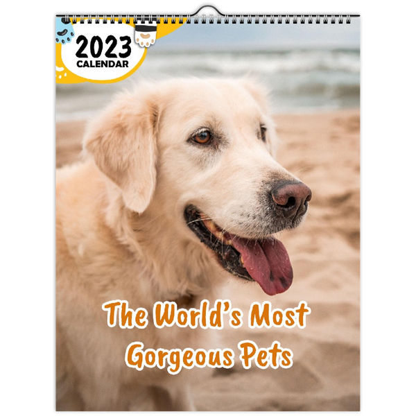 The World's Most Gorgeous Pets: 2023 Wall Calendar