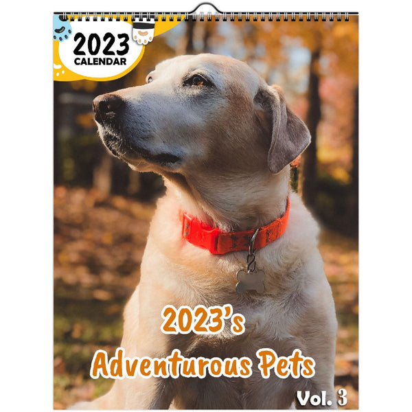 2023's Adventurous Pets Volume Three: 2023 Wall Calendar