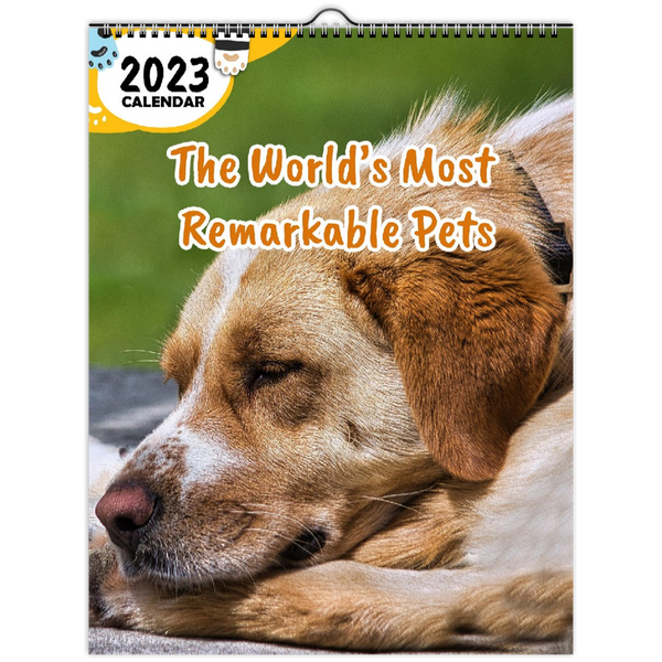 The World's Most Remarkable Pets: 2023 Wall Calendar