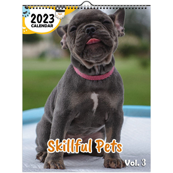 Skillful Pets Volume Three: 2023 Wall Calendar