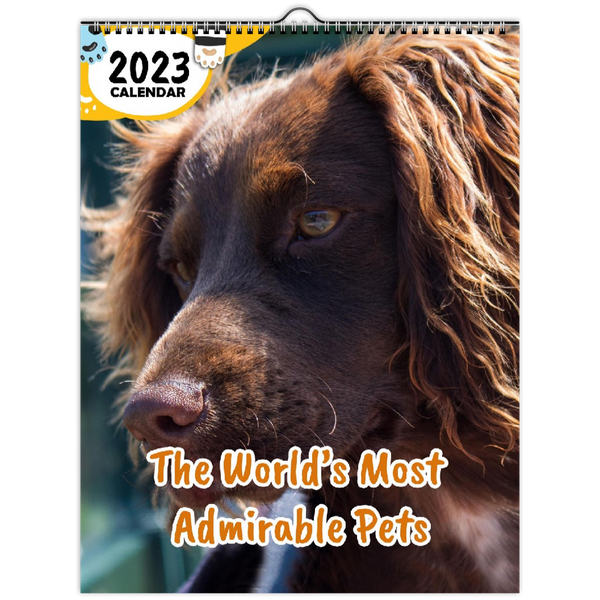 The World's Most Admirable Pets: 2023 Wall Calendar