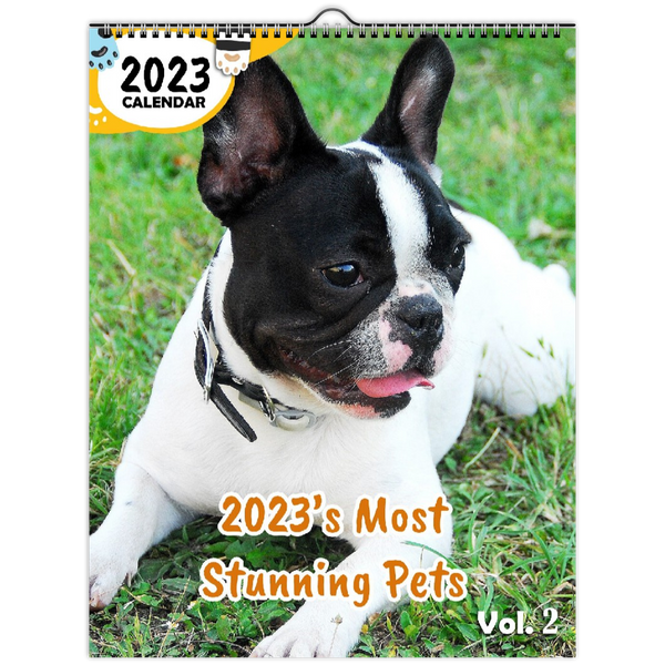 2023's Most Stunning Pets Volume Two: 2023 Wall Calendar