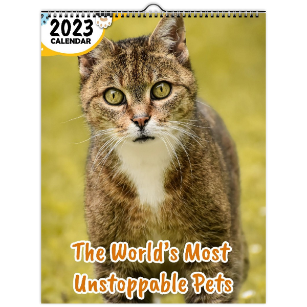 The World's Most Unstoppable Pets: 2023 Wall Calendar