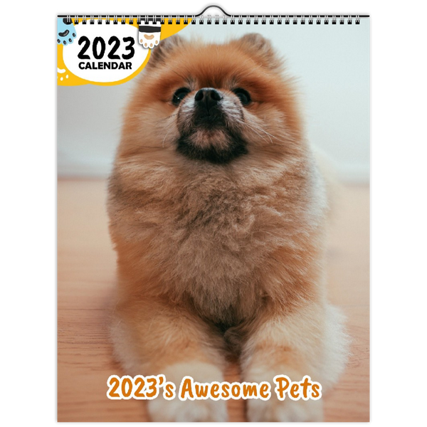 2023's Awesome Pets: 2023 Wall Calendar