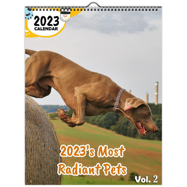 2023's Most Radiant Pets Volume Two: 2023 Wall Calendar