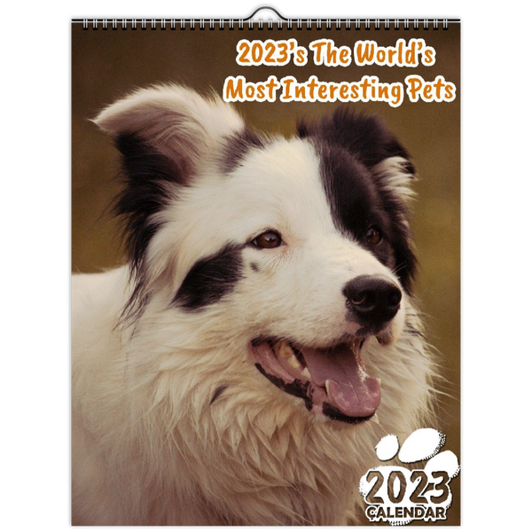 2023's The World's Most Interesting Pets: 2023 Wall Calendar