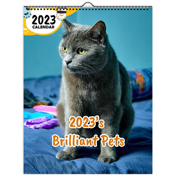 2023's Brilliant Pets: 2023 Wall Calendar