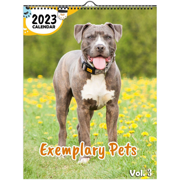 Exemplary Pets Volume Three: 2023 Wall Calendar