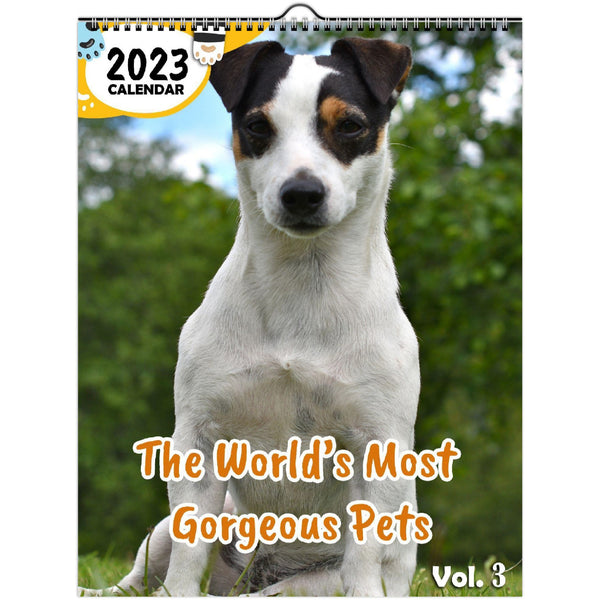 The World's Most Gorgeous Pets Volume Three: 2023 Wall Calendar