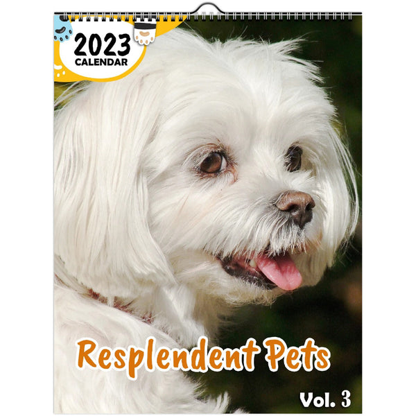Resplendent Pets Volume Three: 2023 Wall Calendar