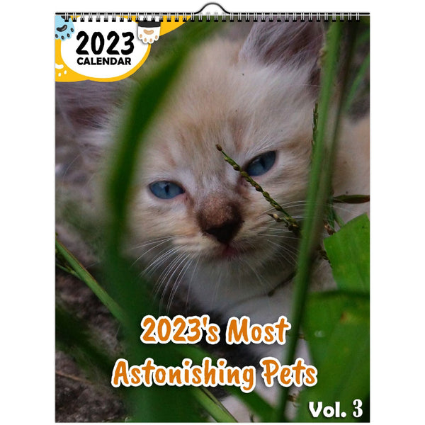 2023's Most Astonishing Pets Volume Three: 2023 Wall Calendar