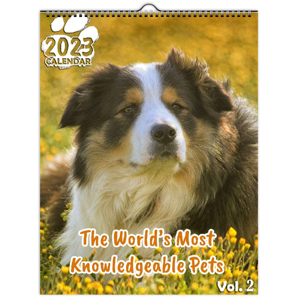 The World's Most Knowledgeable Pets Volume Two: 2023 Wall Calendar