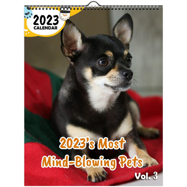 2023's Most Mind-Blowing Pets Volume Three: 2023 Wall Calendar