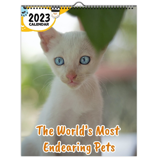 The World's Most Endearing Pets: 2023 Wall Calendar