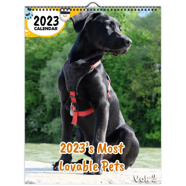 2023's Most Playful Pets Volume Two: 2023 Wall Calendar