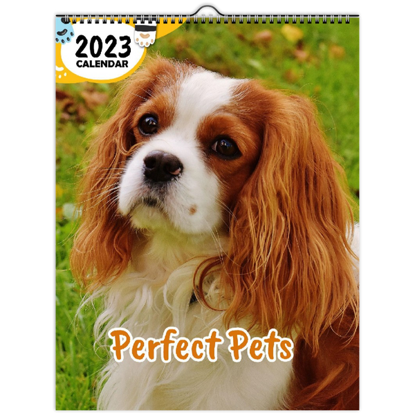 Perfect Pets: 2023 Wall Calendar