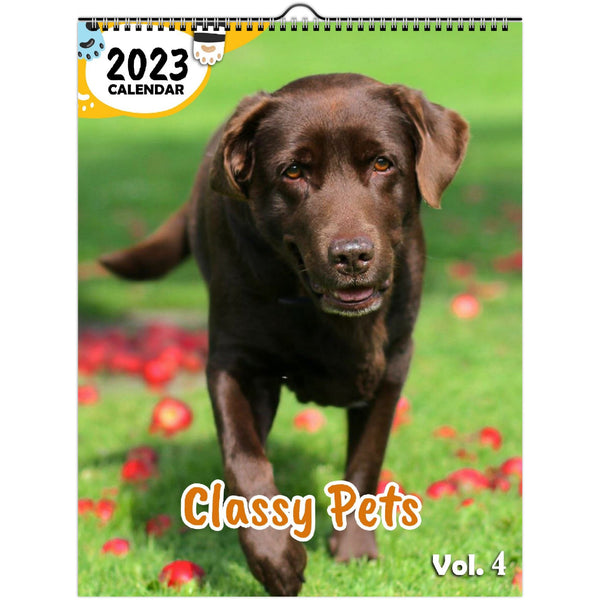 Classy Pets Volume Four: 2023 Wall Calendar