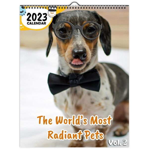 The World's Most Radiant Pets Volume Two: 2023 Wall Calendar