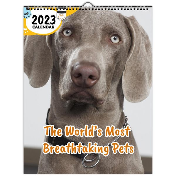 The World's Most Breathtaking Pets: 2023 Wall Calendar