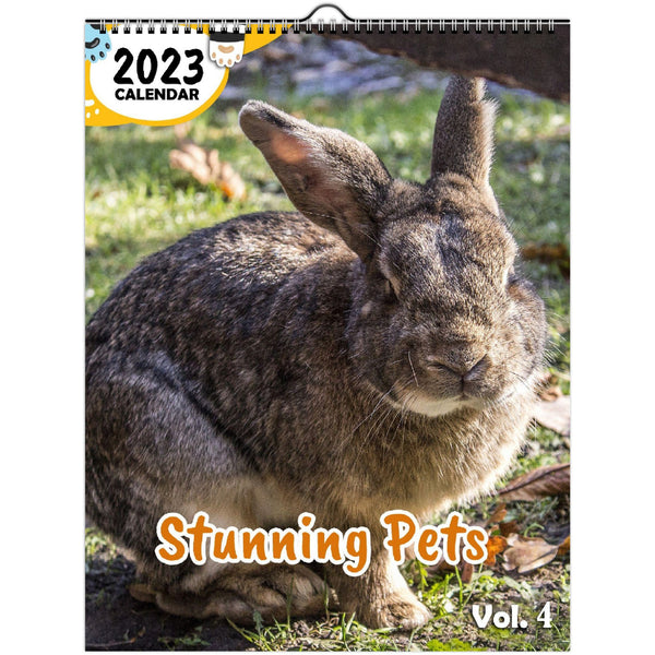 Stunning Pets Volume Four: 2023 Wall Calendar