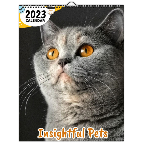 Insightful Pets: 2023 Wall Calendar
