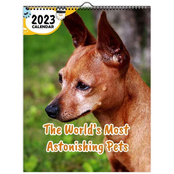 The World's Most Astonishing Pets: 2023 Wall Calendar
