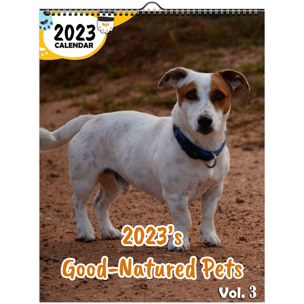 2023's Good-Natured Pets Volume Three: 2023 Wall Calendar